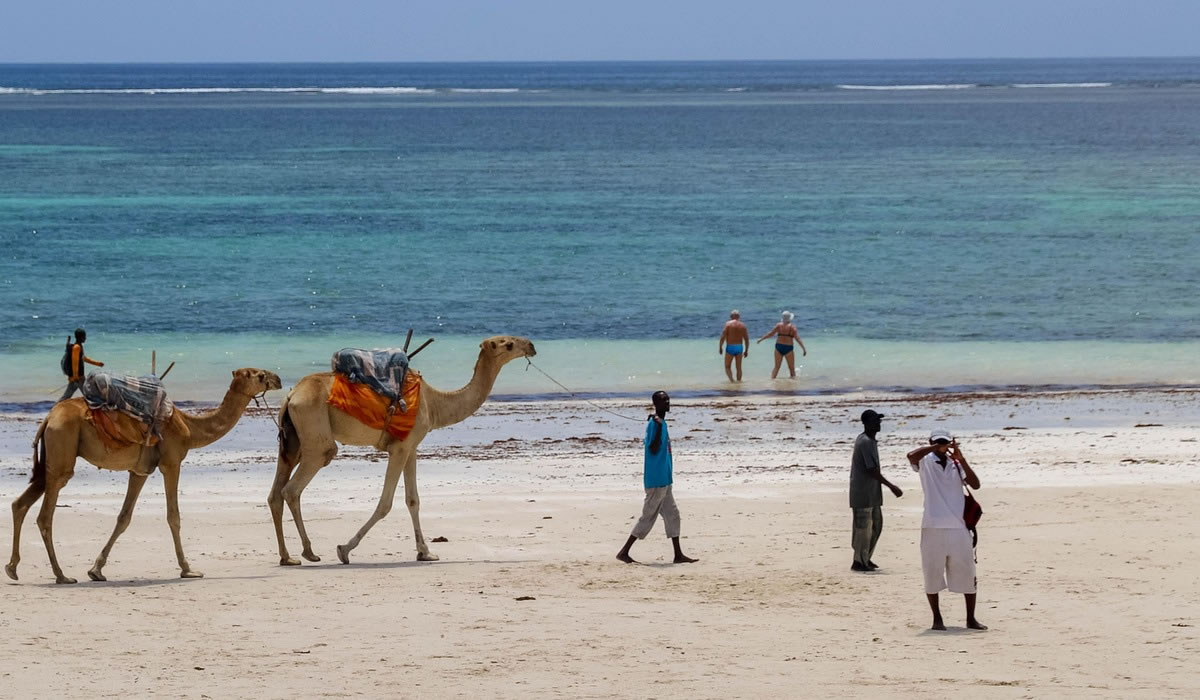 12 Days Kenya Safari and Beach Holiday