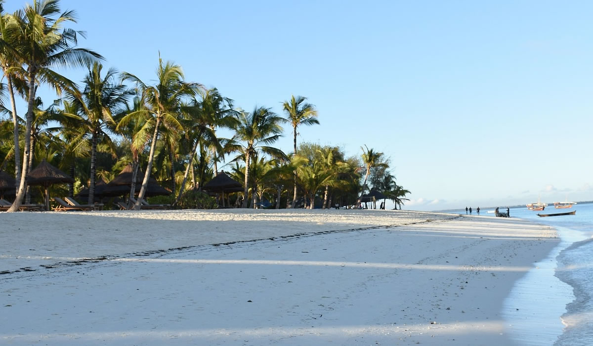 12 Days Tanzania Safari and Zanzibar Beach