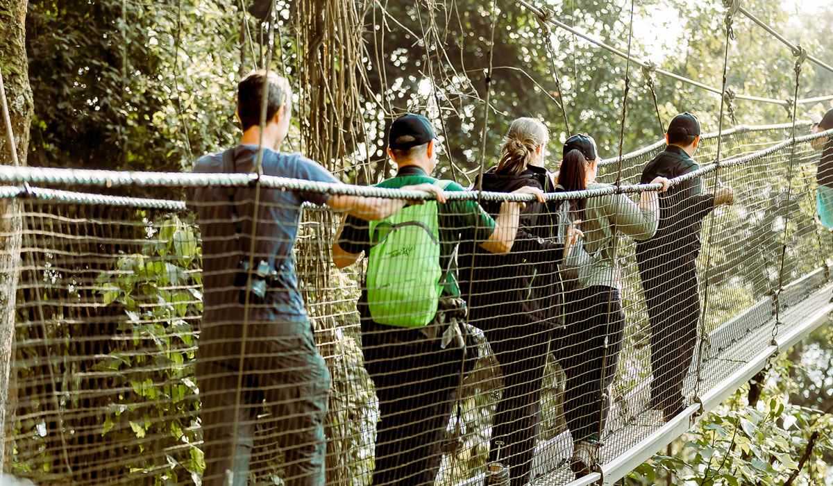 5 Days Rwanda Primates and Canopy Walk Safari